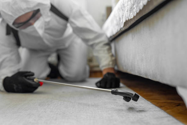 Professional Bed Bug Control technician working in Potter County County, SD